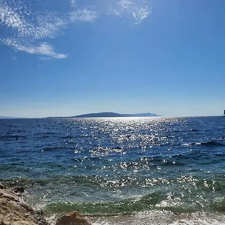 Ivando - Maslina Drvenik (Split-Dalmatia)