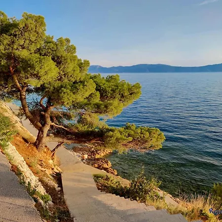 Ivando - Maslina Hotel Drvenik (Split-Dalmatia)
