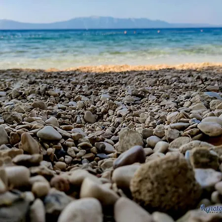 Ivando - Maslina Drvenik (Split-Dalmatia)