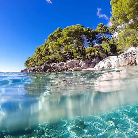 Ivando - Maslina Drvenik (Split-Dalmatia)