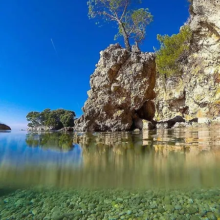 Ivando - Maslina Drvenik (Split-Dalmatia)