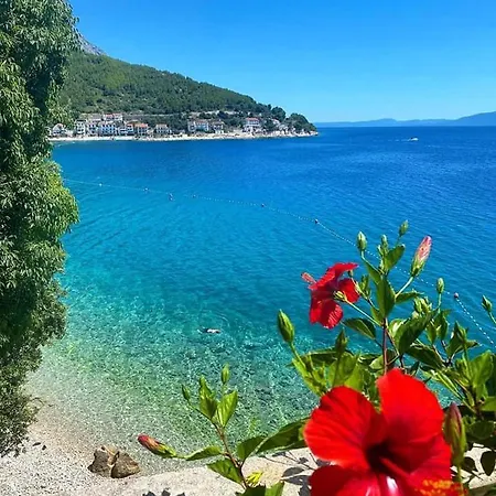 Ivando - Maslina Hotel Drvenik (Split-Dalmatia)